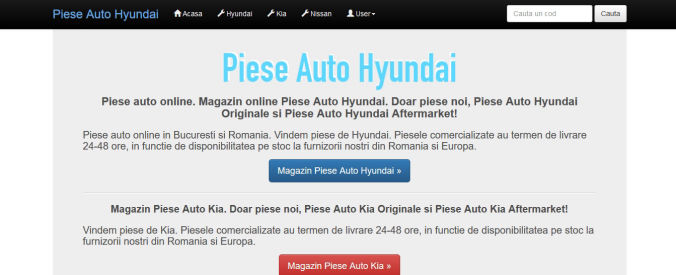 Magazin piese auto Hyundai - Web Design Florin Iliescu